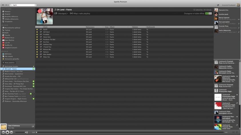 spotify1-maly-test