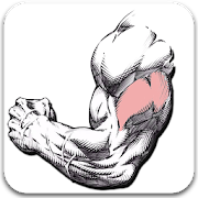 Gym Exercises & Workouts