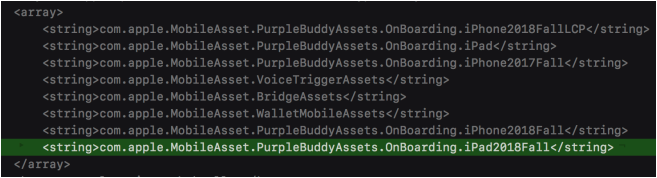 2018 09 20 22 04 34 iOS 12.1 references iPad2018Fall all but confirming new iPad Pro debut next m