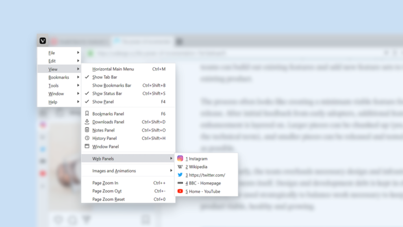Vivaldi 2.9 elementy