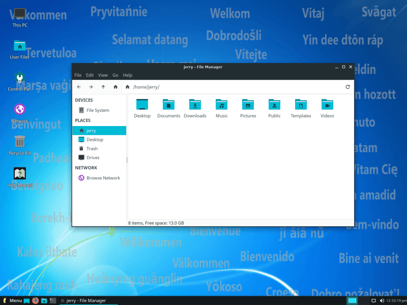 Linux Lite 4.8 pobierz 3