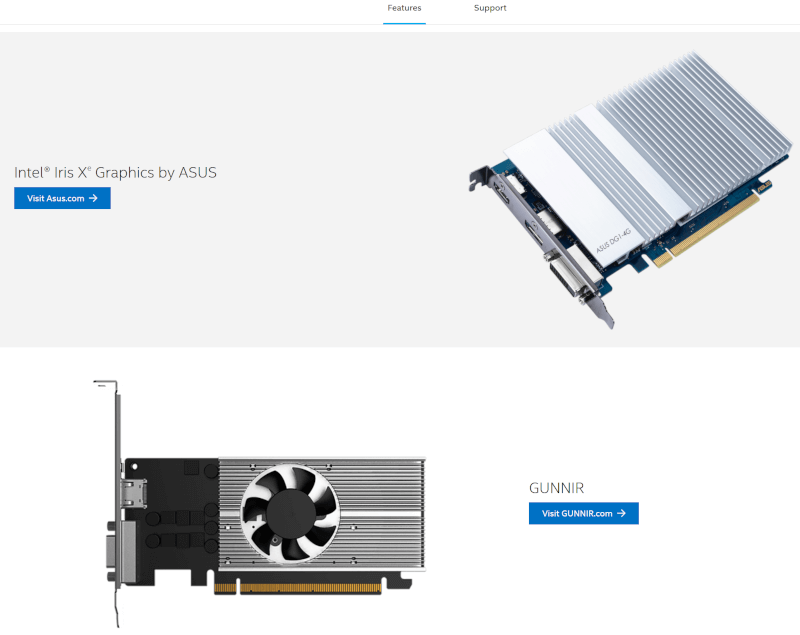 Gunnir Intel Iris Xe DG1