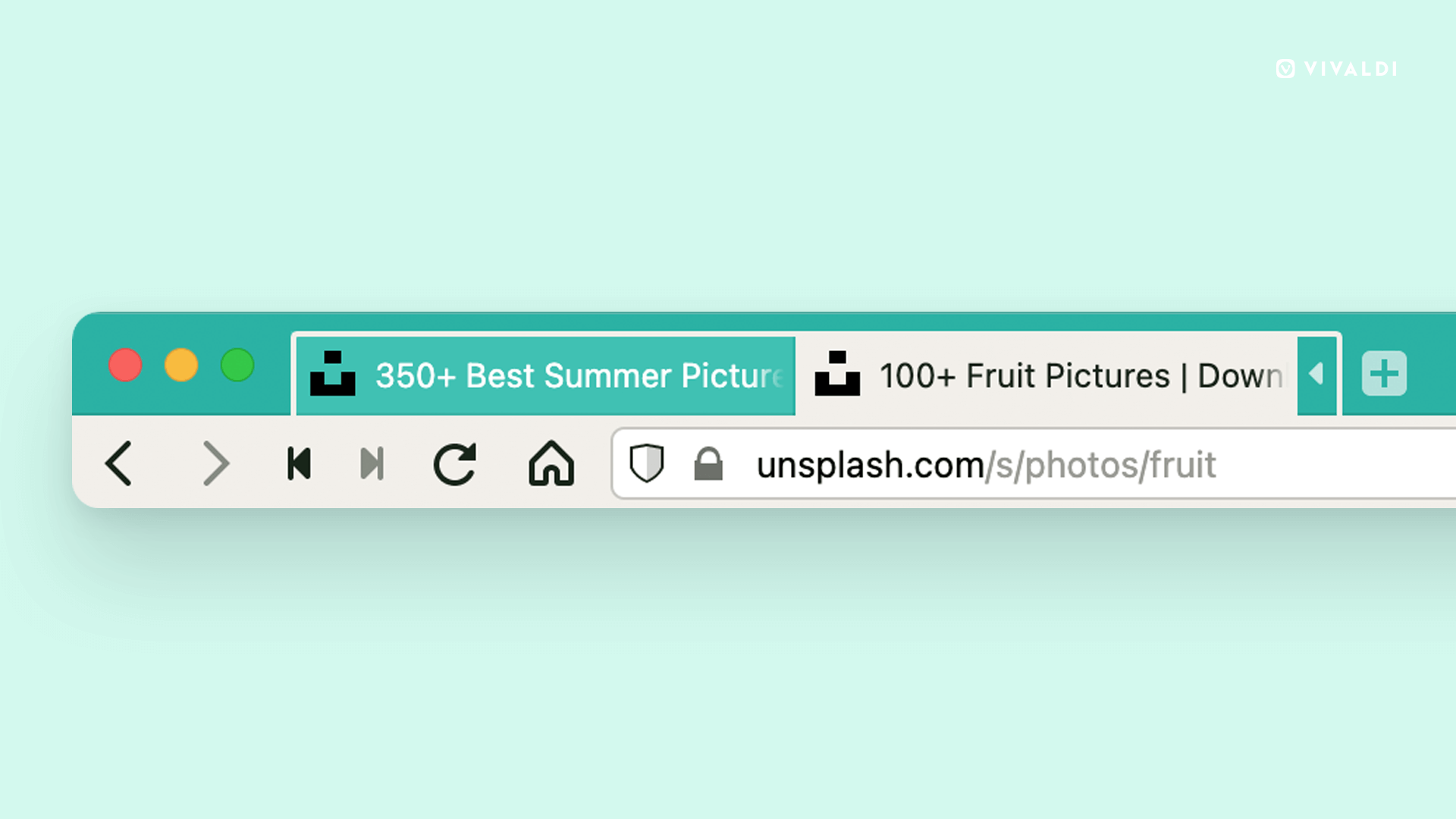 karty akordeon vivaldfi 2