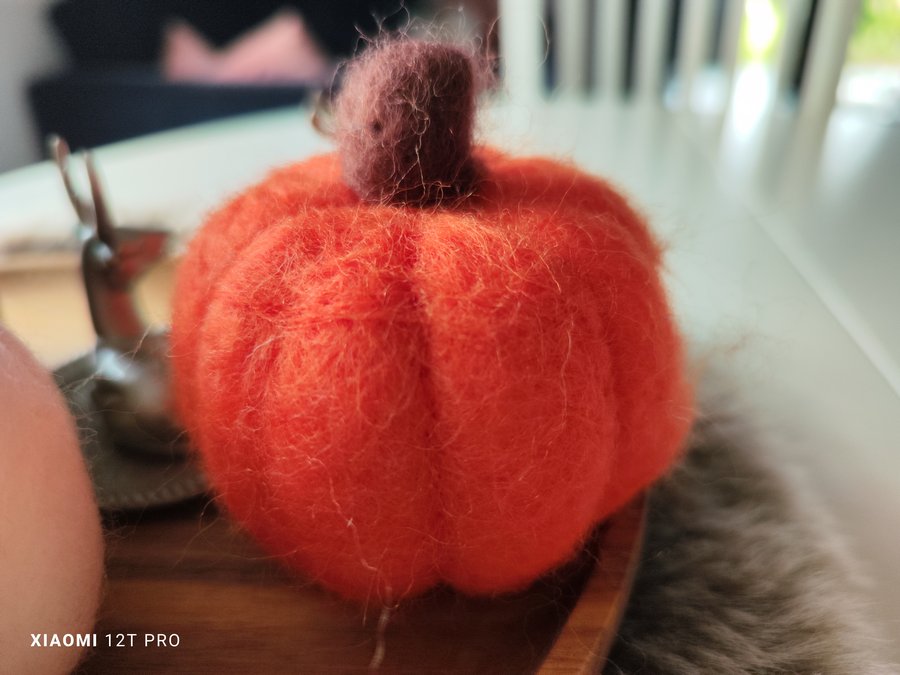 IMG 20221004 094718 mini