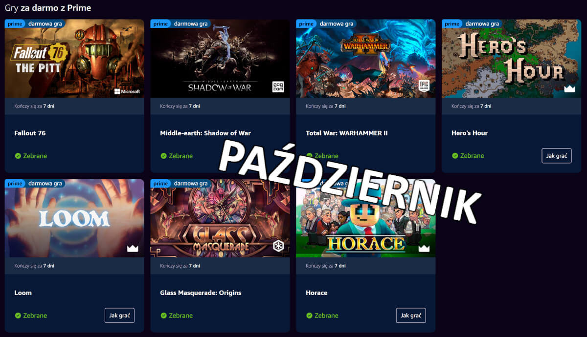 Wyciekła lista gier Amazon Prime Gaming na listopad. Kolejny Fallout do kolekcji i świetne rajdy