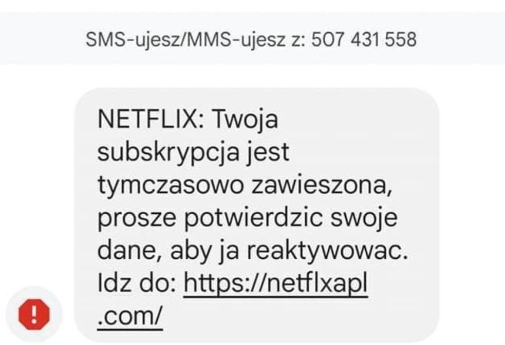 netflix scam 1