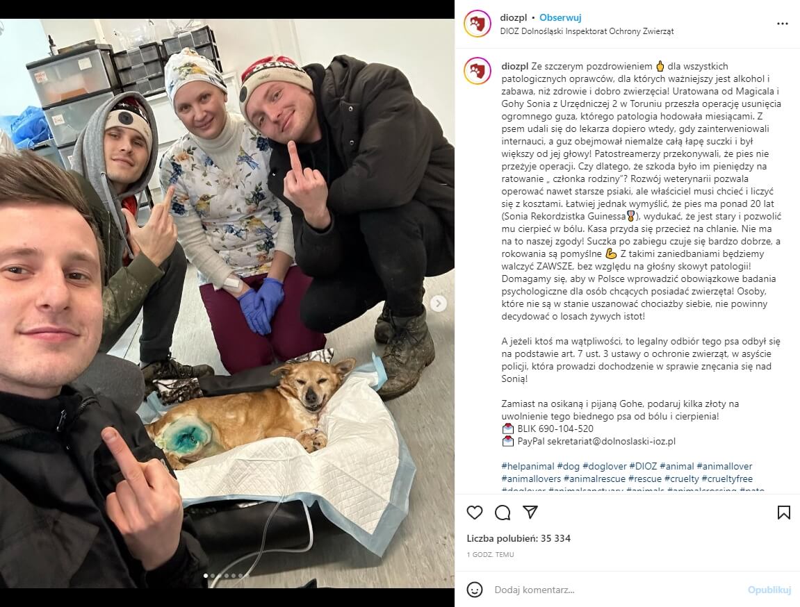 daniel magical pies 1