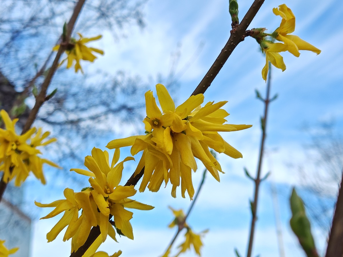 motorola-edge-40-pro-19