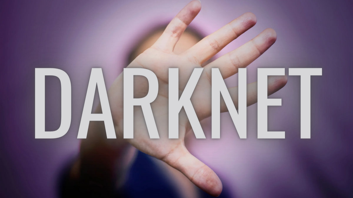 darknet dane