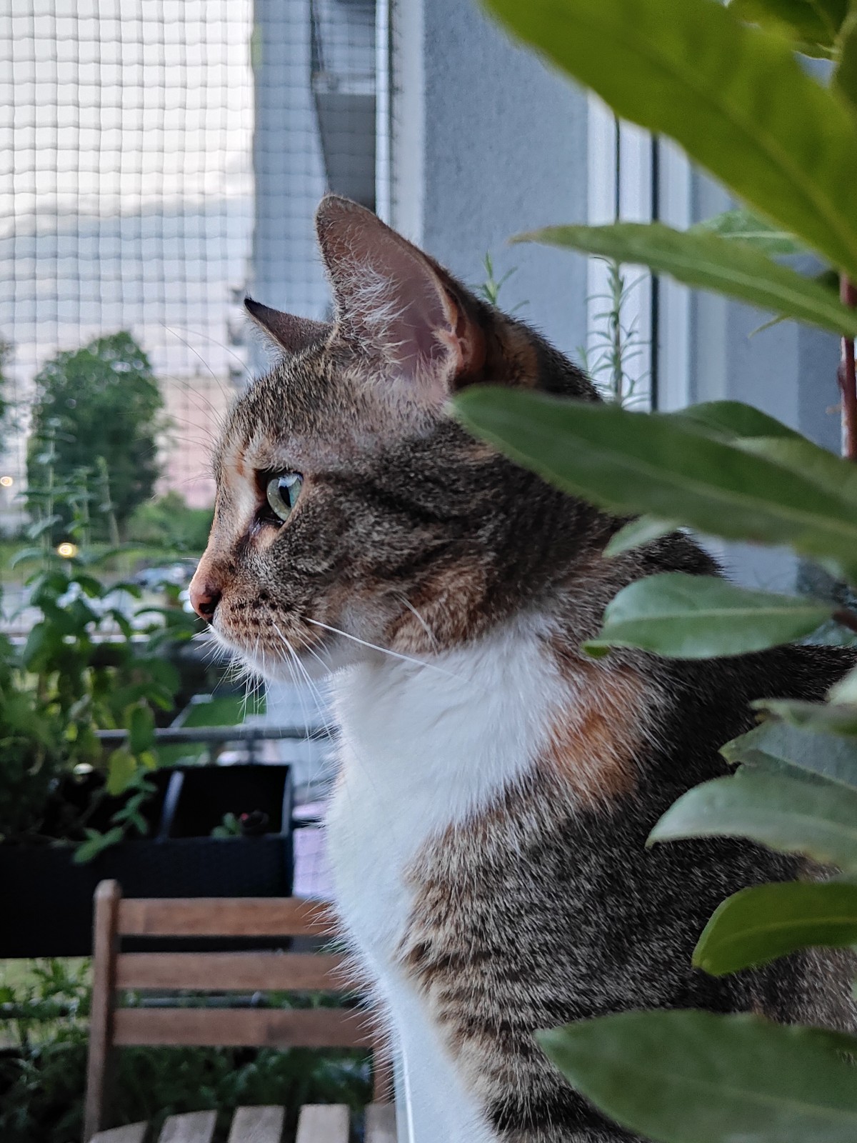 oppo-reno10-pro-5g-11