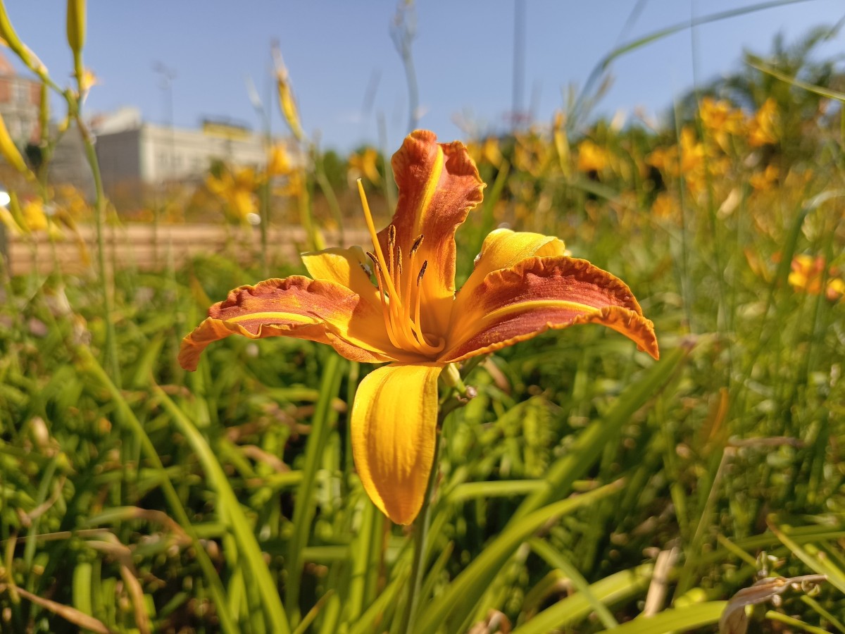 infinix-note-30-pro-17