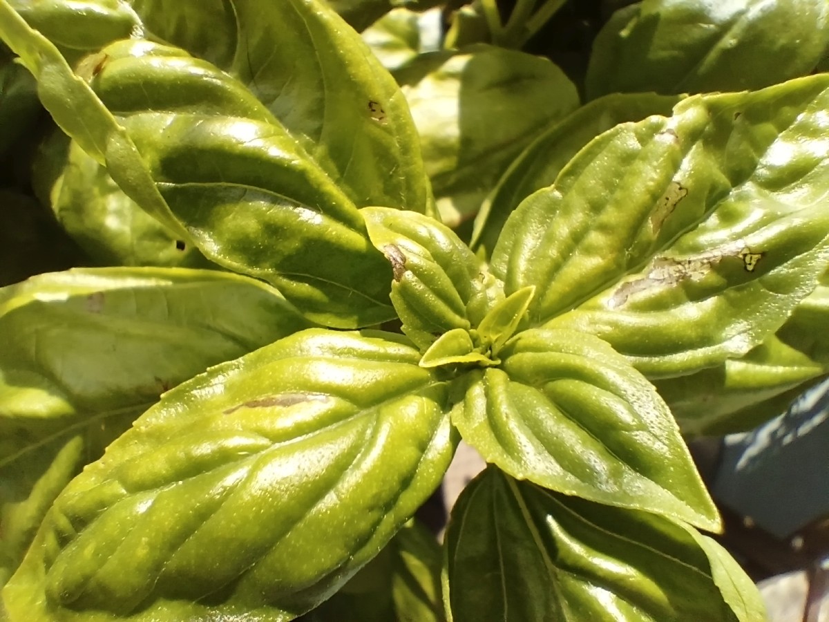 infinix-note-30-pro-19