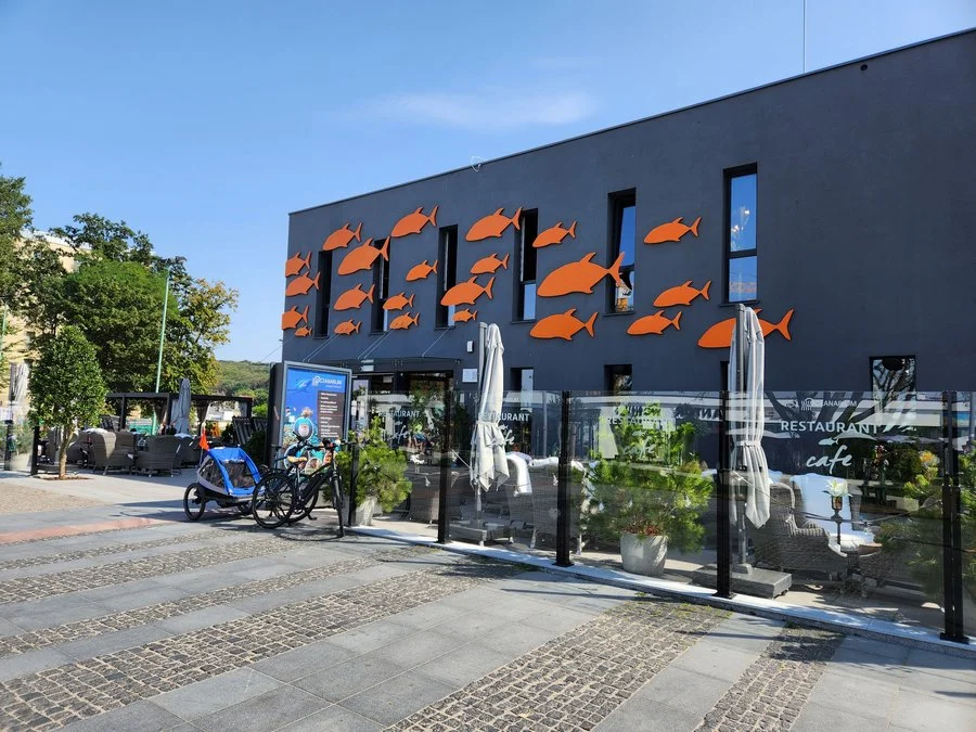 20220826 141814 mini