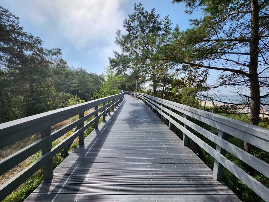 20220826 142602 mini