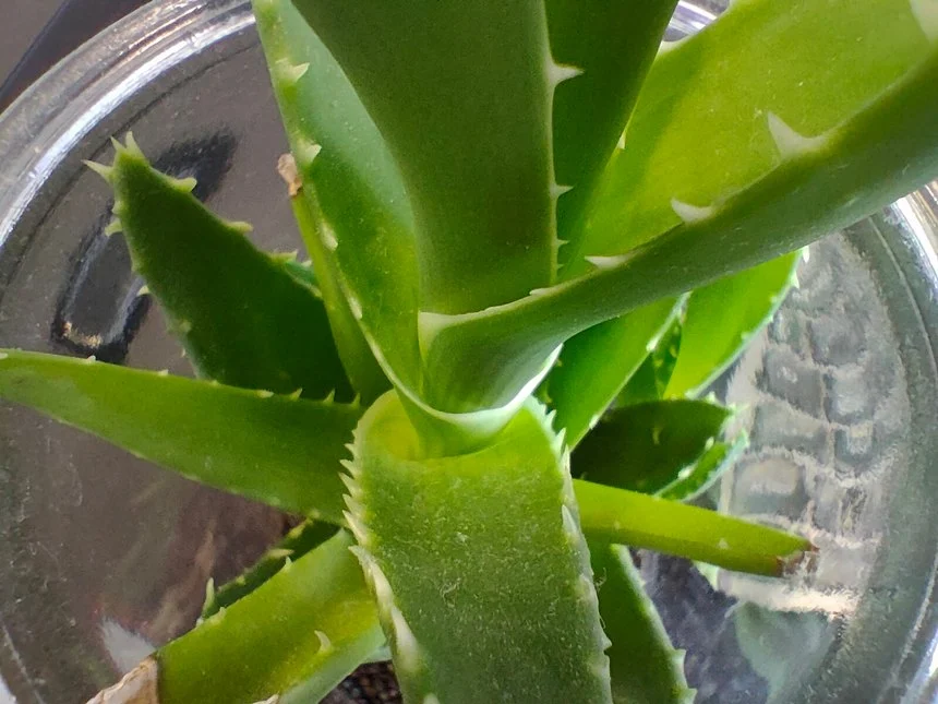 IMG20220408131727 mini