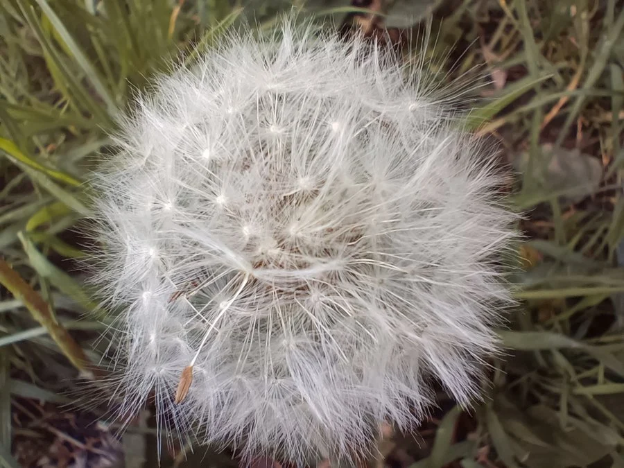 IMG20220518084511 mini