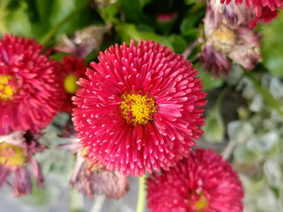 IMG20220519192430 mini