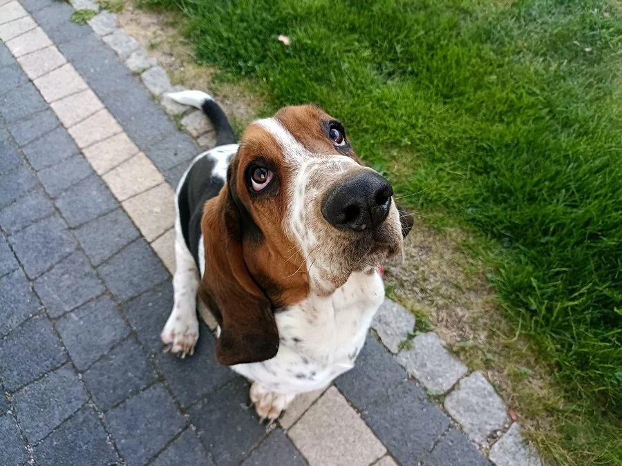 IMG20220519192755 mini