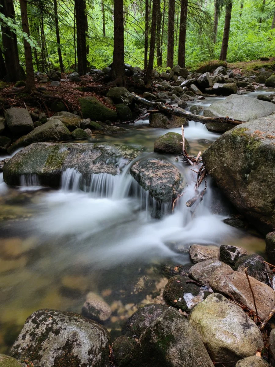 IMG 20220524 154651 mini