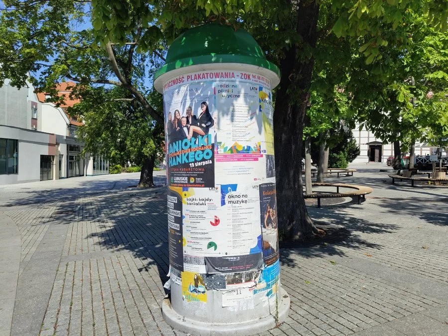 IMG 20220725 152921181 mini