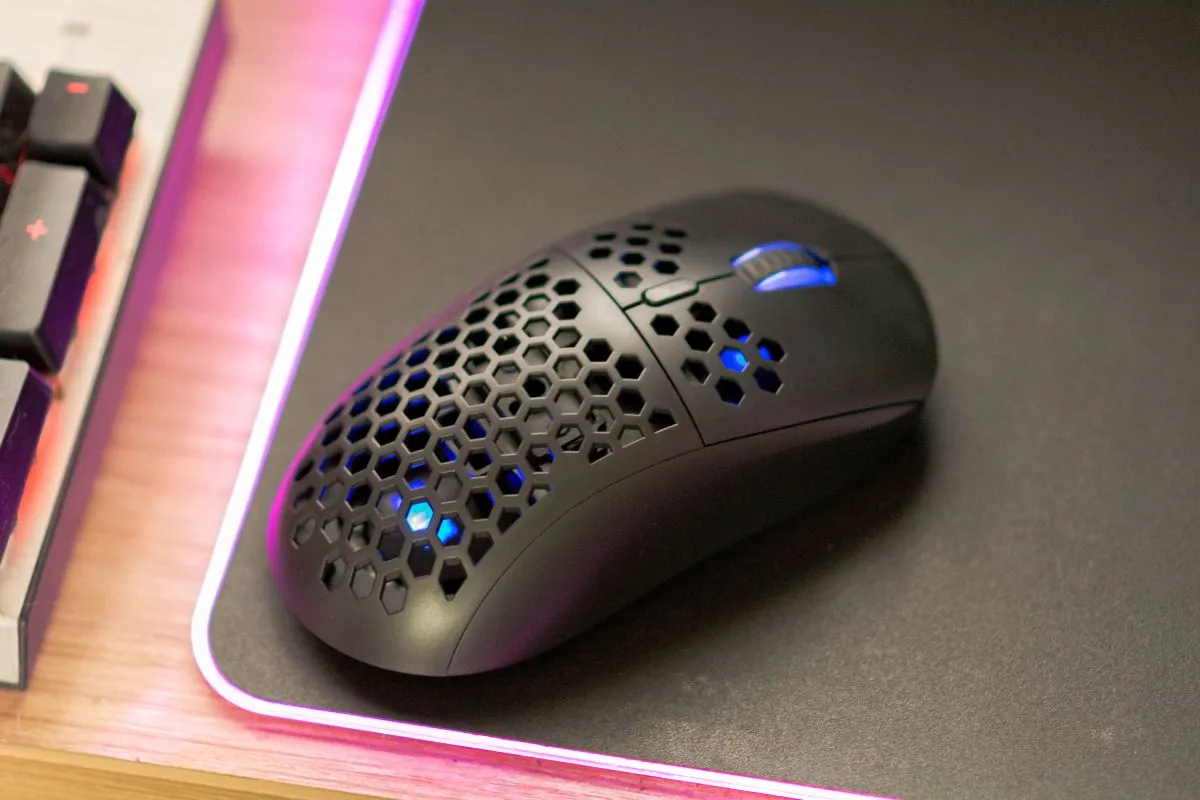 Silver Monkey X Rascal RGB 13