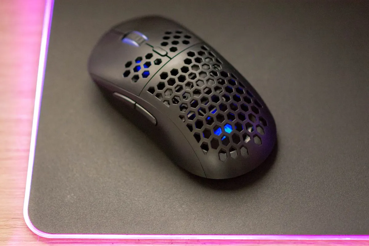 Silver Monkey X Rascal RGB 15