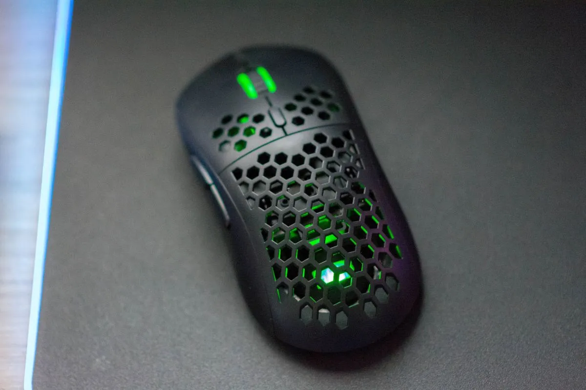 Silver Monkey X Rascal RGB 2