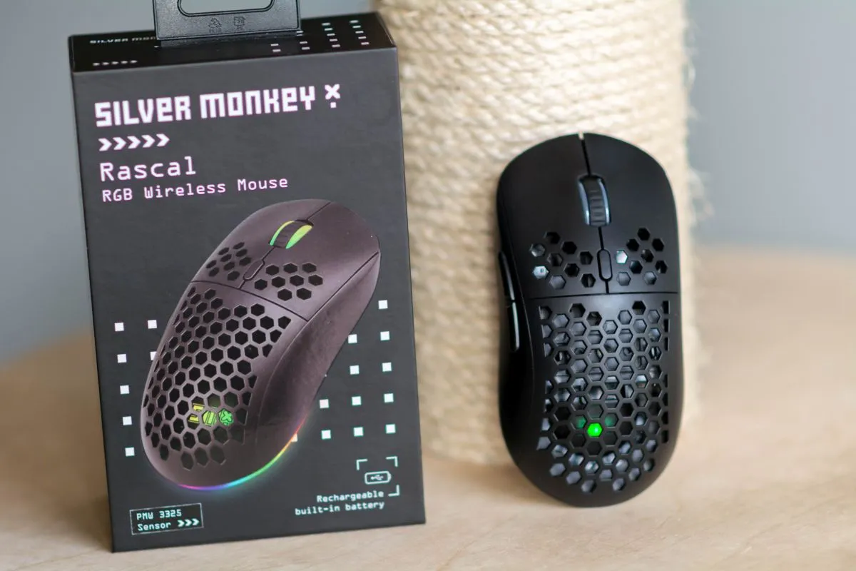 Silver Monkey X Rascal RGB 4