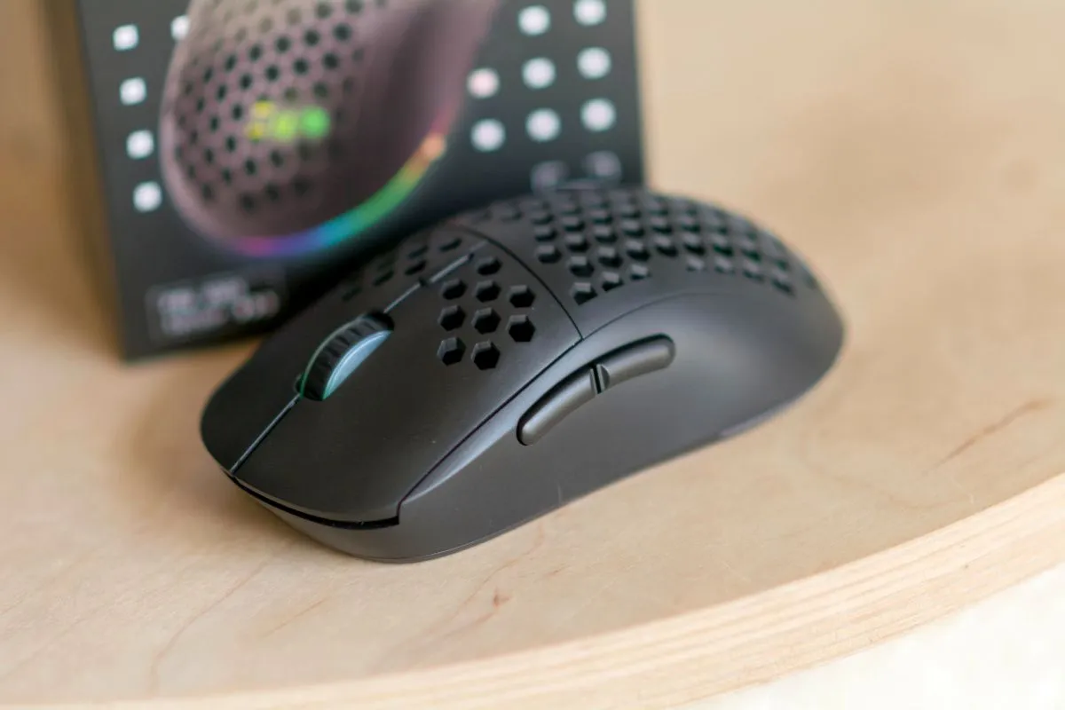 Silver Monkey X Rascal RGB 5