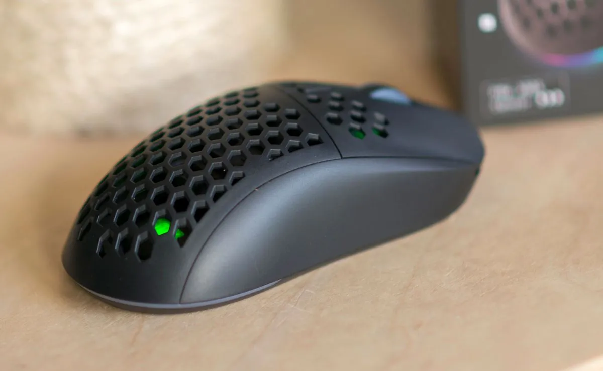 Silver Monkey X Rascal RGB 7