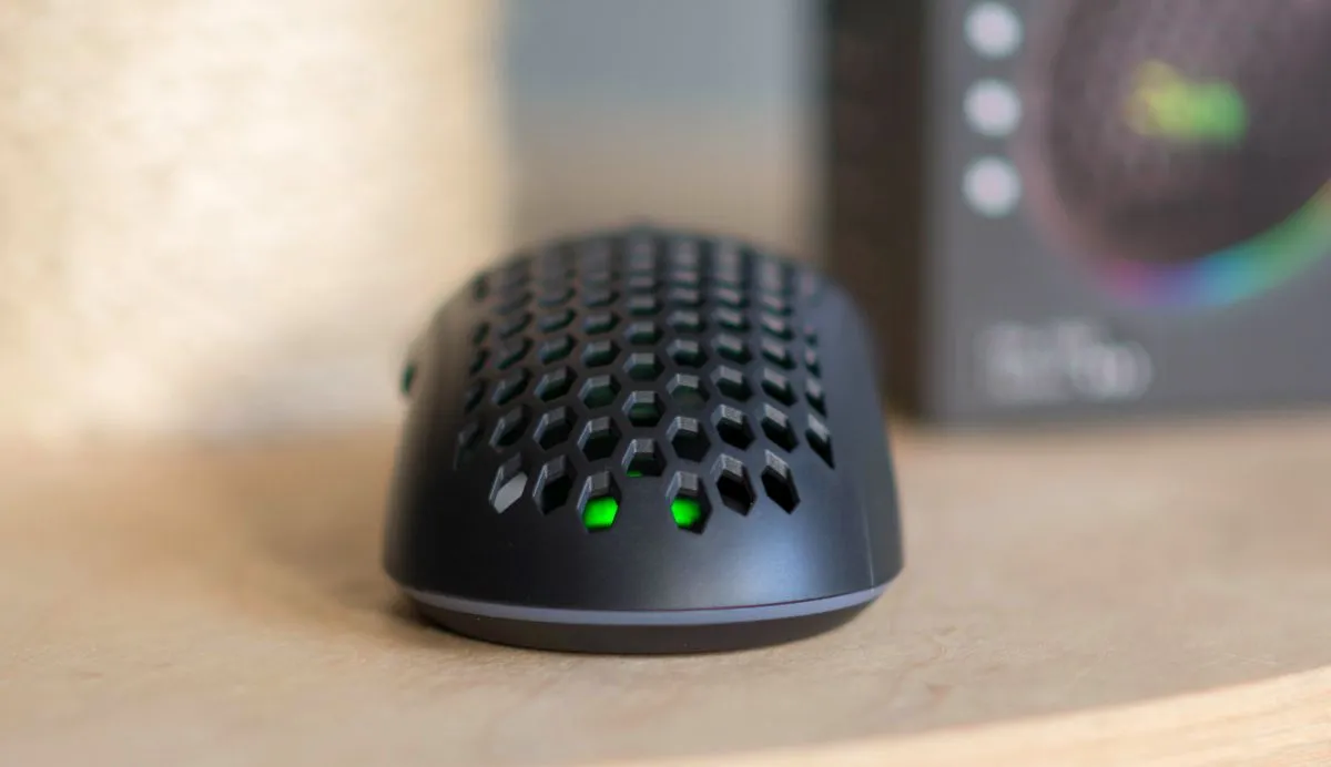 Silver Monkey X Rascal RGB 8