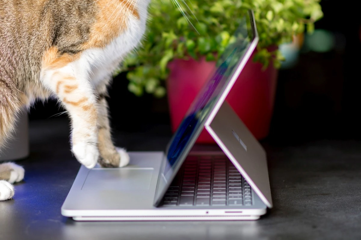 Surface Laptop Studio 8