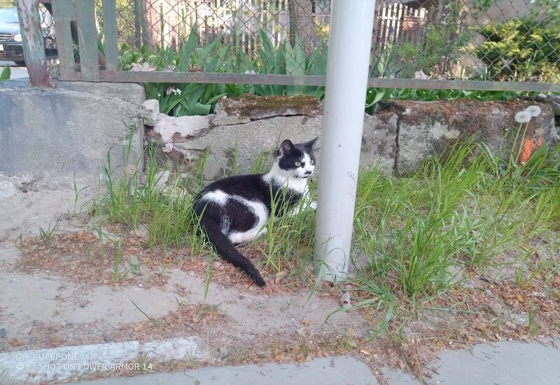 Ulefone Power Armor 14