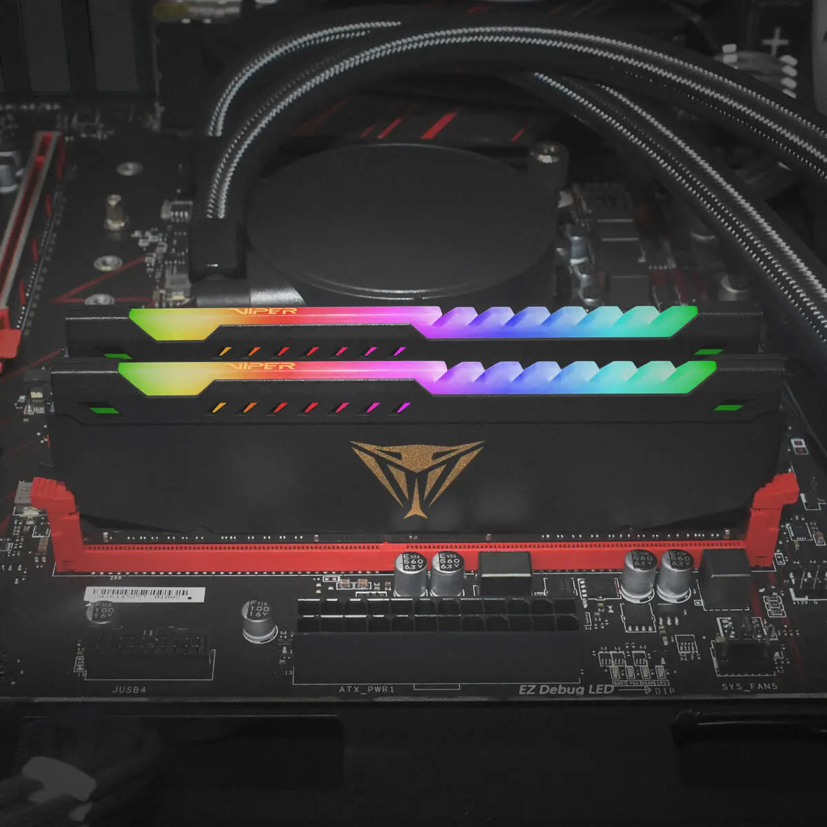 To nie koniec DDR4. Patriot prezentuje nowe moduły Viper Steel RGB Low Latency