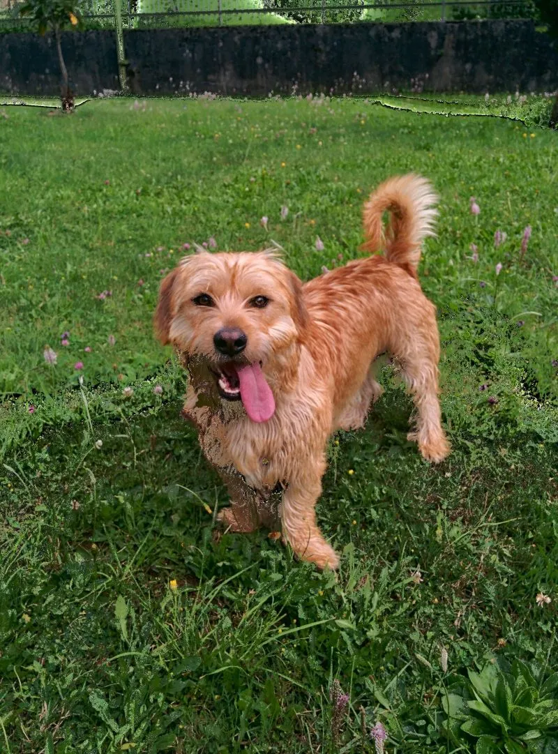 uszkodzone zdjecie 1