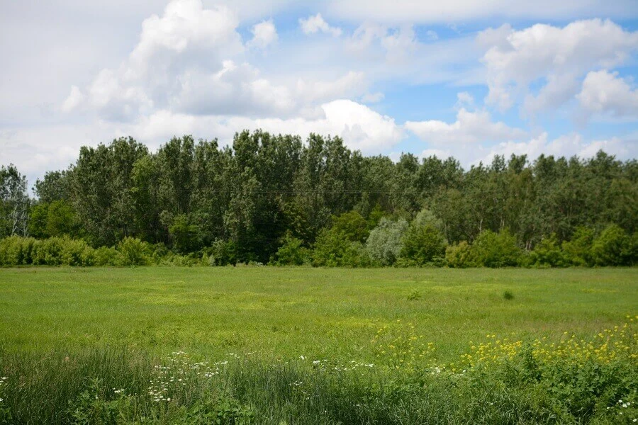 zrekultywowana halda