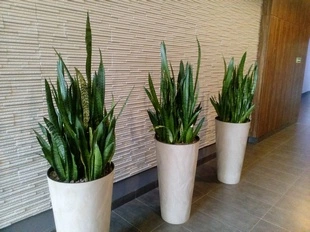 2015-09-15 104424 mini