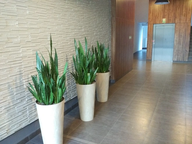 Przykładowa fotografia wykonana Xiaomi Mi4c