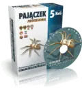 Nowa wersja Pajączka