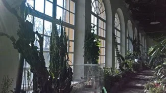 Lenovo Phab Plus foto sample