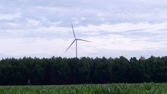 IMG 20160708 065322 mini