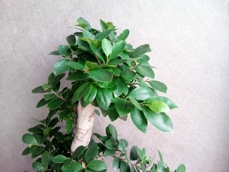 IMG 20160726 185818 mini