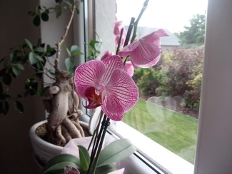 IMG 20160726 190043 mini