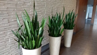 IMG 20160802 083421808 mini