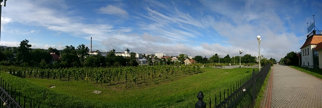 IMG 20160817 093300084 mini