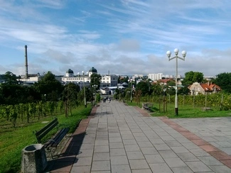 IMG 20160817 093506660 mini