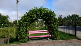 IMG 20160817 093606848 mini