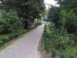 IMG 20160823 112324 mini