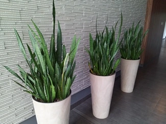 IMG 20160823 114718 mini