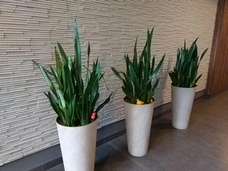 IMG 20161025 111533 mini